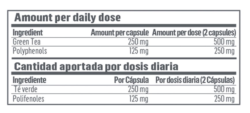 Chá Verde | Chá Verde | 90 Cápsulas - Image 3