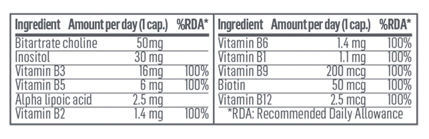 Complexo de Vitamina B | Complexo Multivitamínico | 60 Cápsulas - Image 3