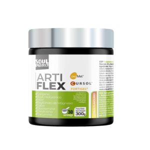 Artiflex | Protetor articular e anti-inflamatório | 300g