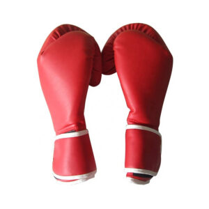 Luvas de Boxe PRO